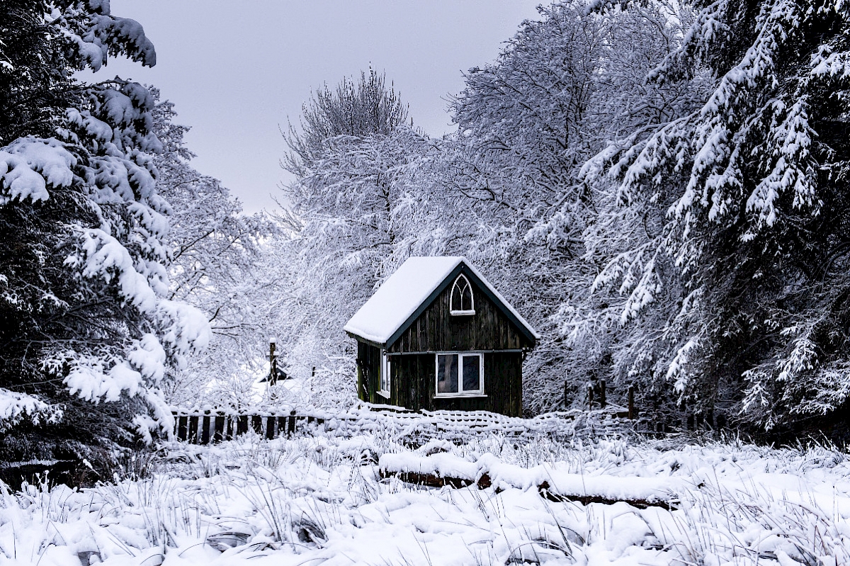 Cold  Weather  Photography