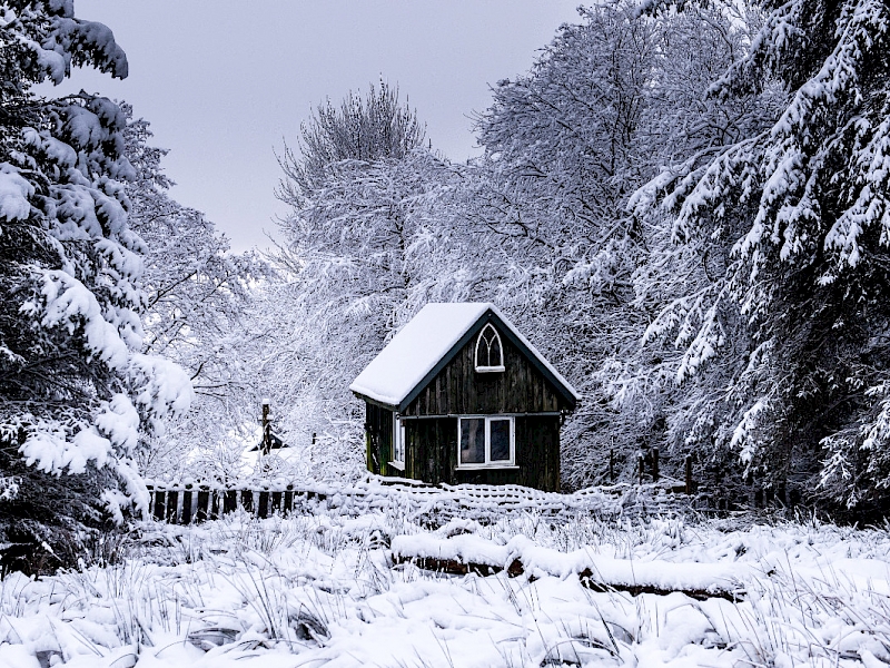 Cold  Weather  Photography