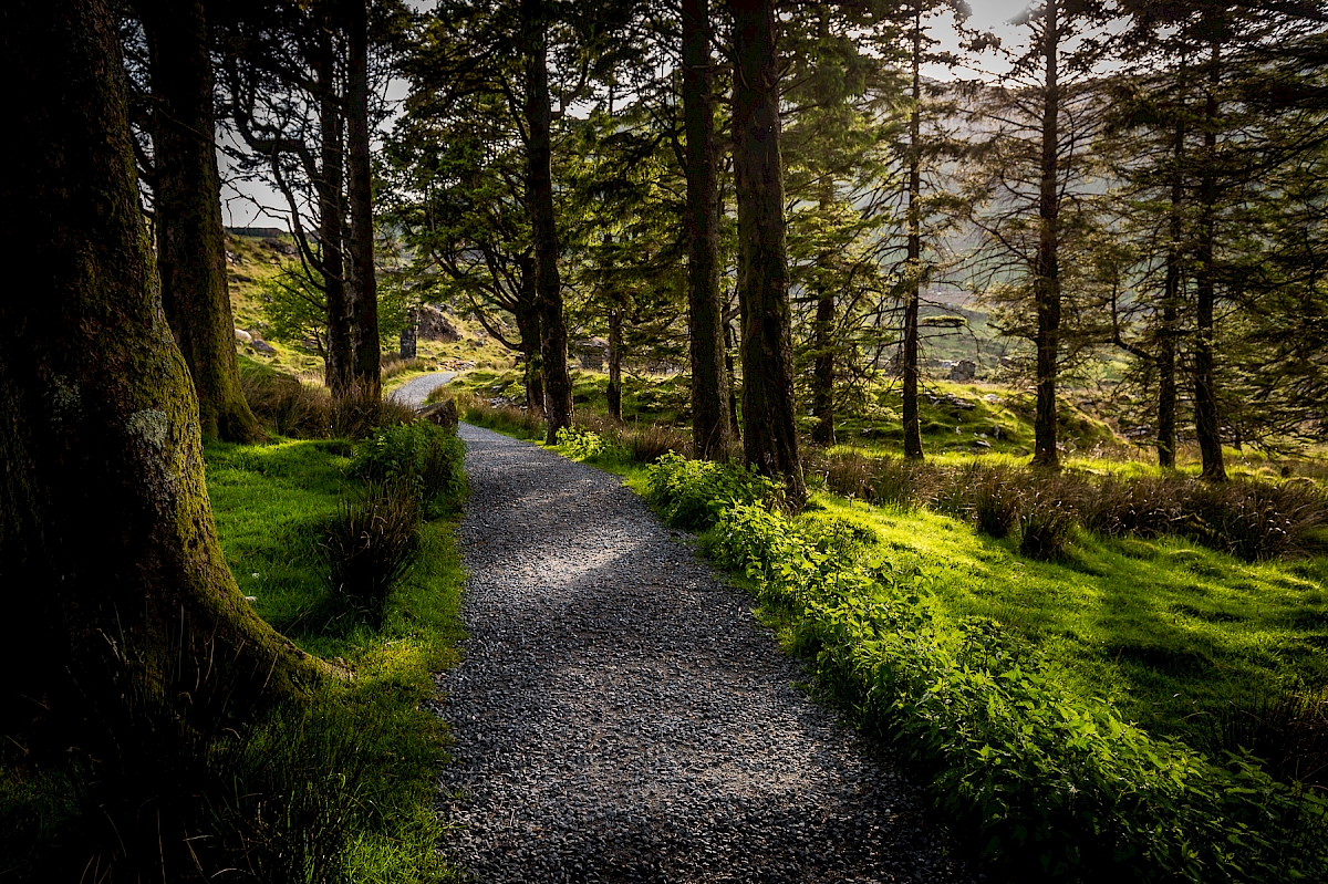 Llyn y Gader, Rhyd Ddu