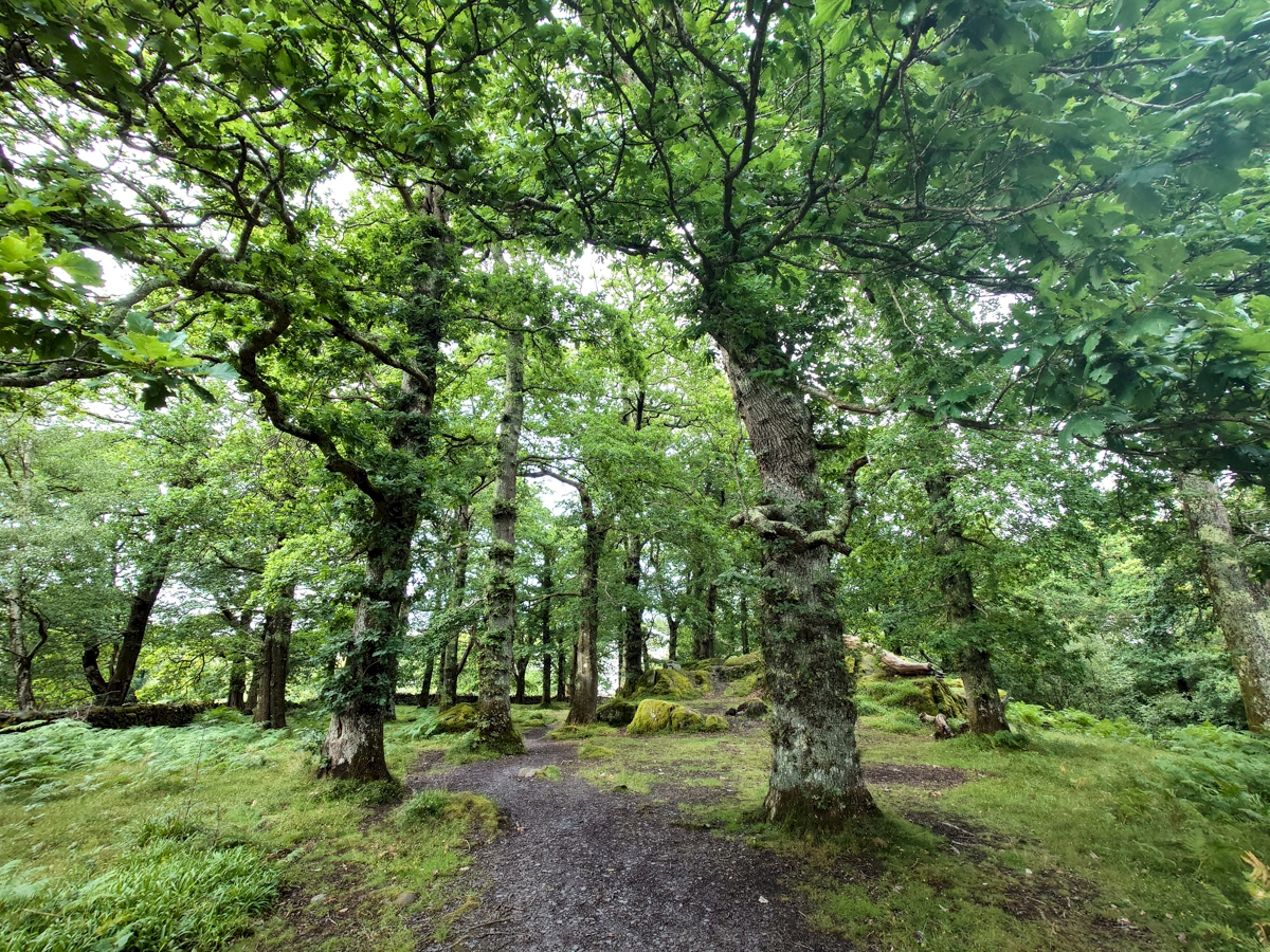Parc Meurig, Bethesda