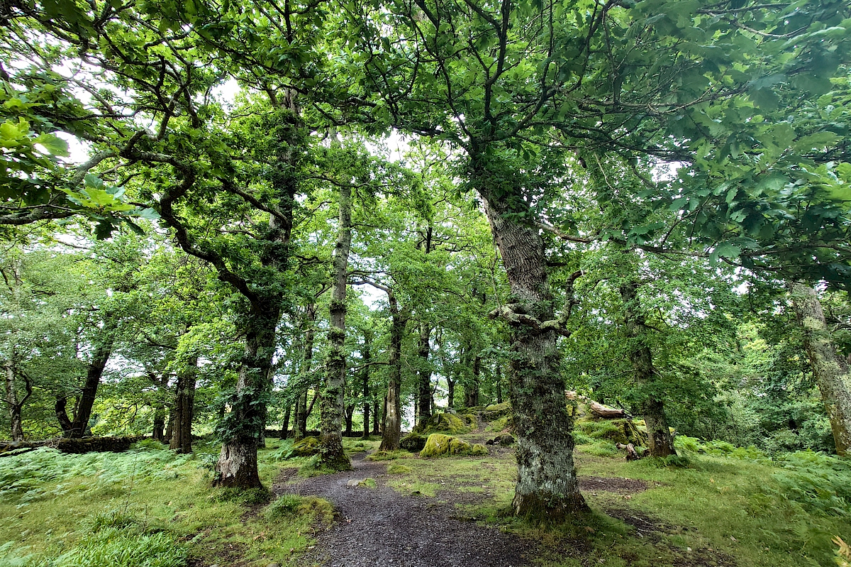 Parc Meurig, Bethesda