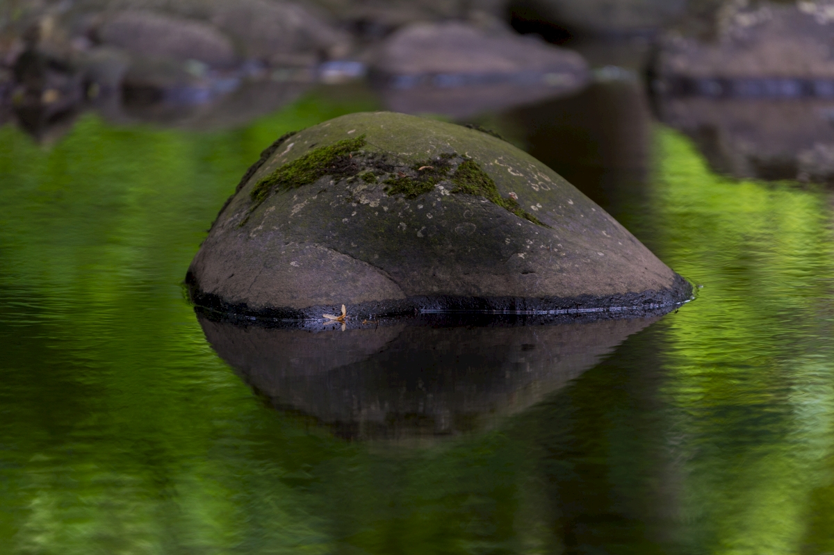Afon Ogwen